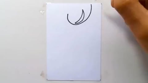 Drawing tatto v14 2024 shorts