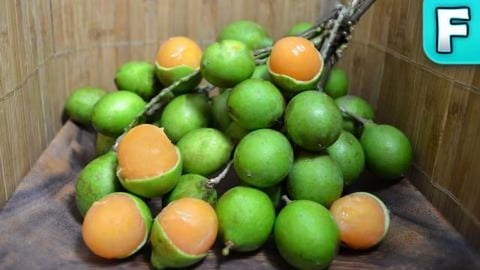 Mamoncillio | Fruits You've Never Heard Of