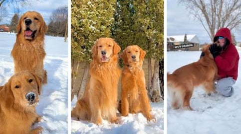 Play Day at Great Grandma's House