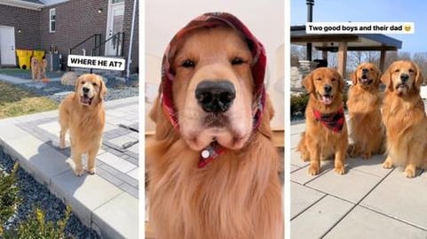 My Son Comes to Visit