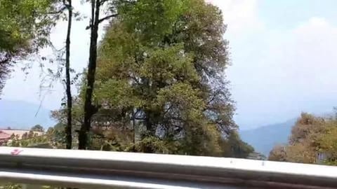 First Glimpse of Buddha Statue - Ravangla | Sikkim