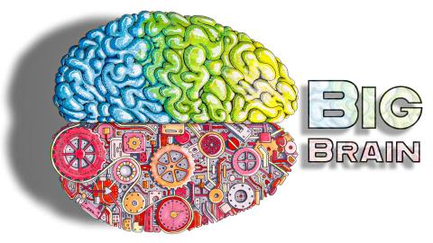 Big Brain – An EBM Sketch