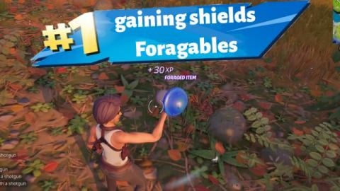 Gain shield by consuming foragables
