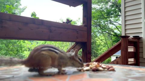 Steve Shows us How to Take the Time to Eat and Savor our ...