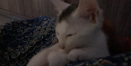 Tedy & Gify Sleeps like this !!! 