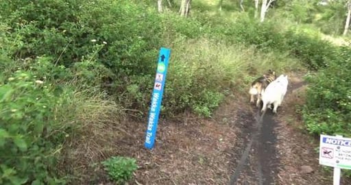 Getting ourselves lost in the Australian bush