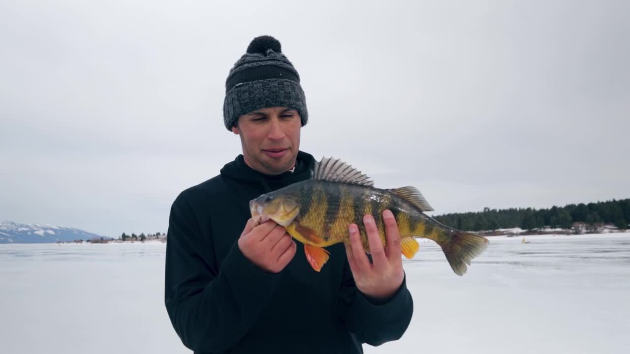 Learning to Crawl for Perch – Social Fishing