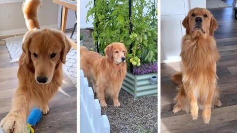 This is My Garden Now!