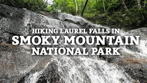 Hiking Laurel Falls in Smoky Mountain National Park | The...