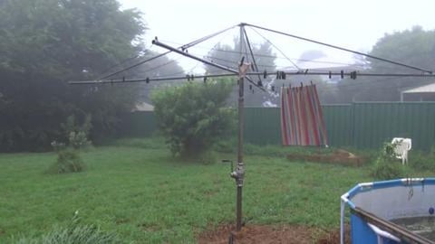 Wet Foggy morning, are we still going for a walk?