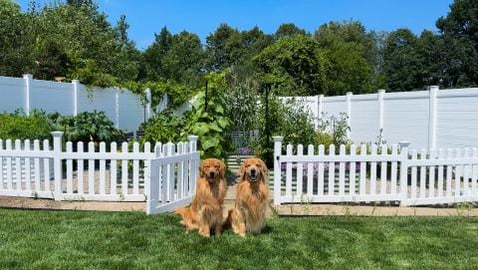 I Upgraded My Small Garden and Made it HUGE!