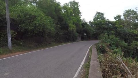 Road To Om Beach | Gokarna