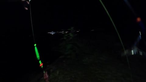 Will My Rig Catch Fish