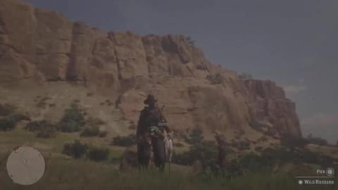 This Easy Glitch is Still Working in Red Dead Online