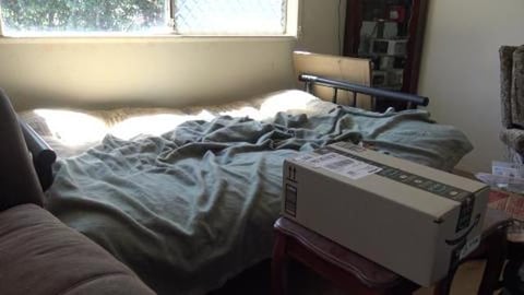 Wolf opening his birthday presents from his Aunt Clare