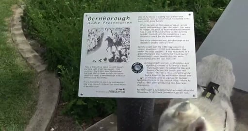 Malamute & Husky walk around Oakey town