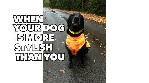 Percy tries out the Rabbitgoo Waterproof Winter Coat