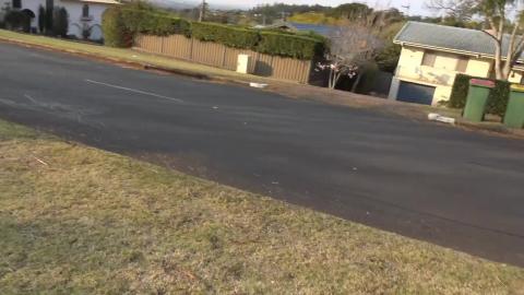 2 Malamutes, 2 Kangaroos & a Husky