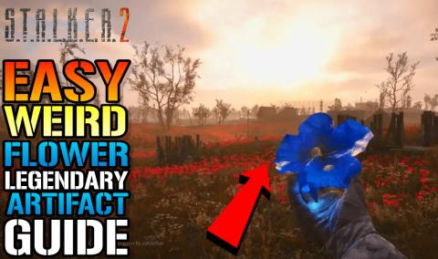 Stalker 2_ _Weird Flower_ Legendary Artifact Guide! How T...