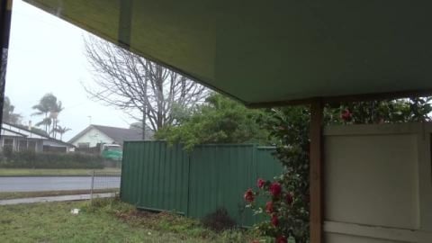 Kookaburra thinks it's no joke being wet & cold