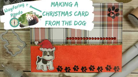 Making a Christmas Card From the Dog