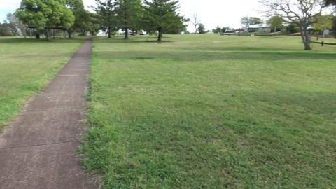 Wolf shows how to roll at Reg Veacock Park