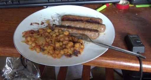 Visiting a big white ball of fluff, no girlfriend for Wol...