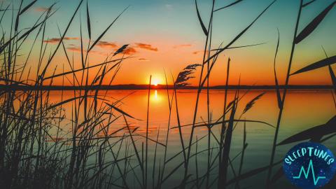 Relaxing Sleep  With Soothing Sounds To Help Meditation, ...