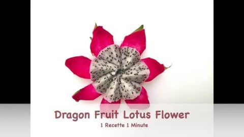Dragon Fruit Lotus Flower (shorts)