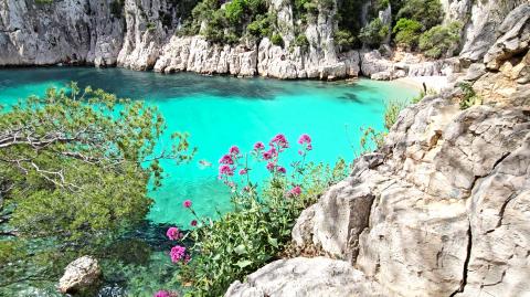 France's CAPTIVATING Calanques National Park 