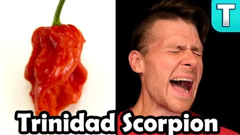 Trinidad Moruga Scorpion: Tasting the Hottest Peppers Ep....