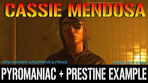 The Division 2: Cassie Mendoza RESET | PRESTINE EXAMPLE &...