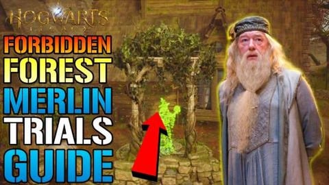 Hogwarts Legacy: Merlin Trials All "Forbidden Forest" Are...