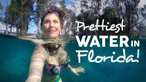 Visiting Crystal River Florida  & Three Sisters Springs
