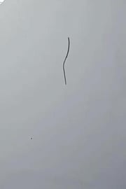 Drawing wolverine