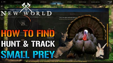 New World: How To Track & Hunt Small Prey, Rabbits, Turke...
