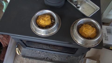 Malamute & Husky enjoy breakfast with pumpkin