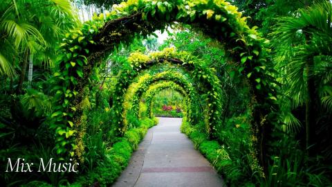 Tranquil Garden | Relax & Uplift with Mix Music