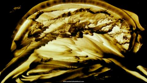 Beautiful Relaxing Music with Sand Art Video for Stress R...