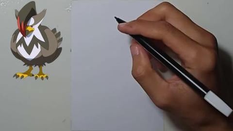 Drawing Pokemon staraptor