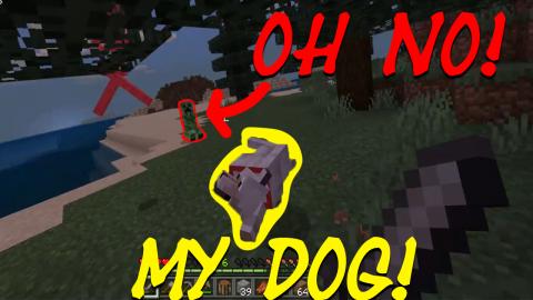 Finding A Dog In Minecraft!