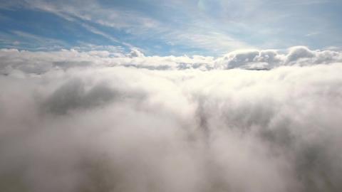 Okey Dokey "Wine Friends"