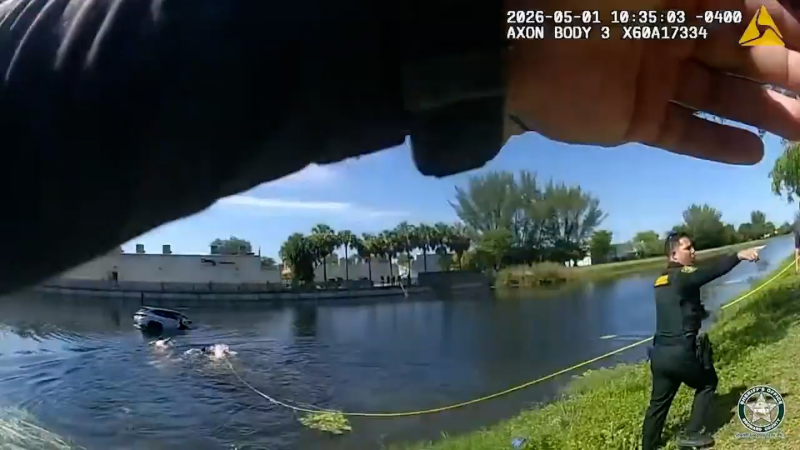 Florida deputies save driver from sinking car with seconds to spare ...