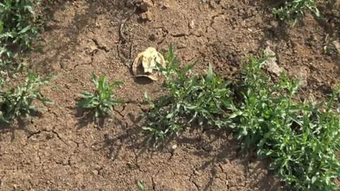 Visiting Cooby Dam yet again