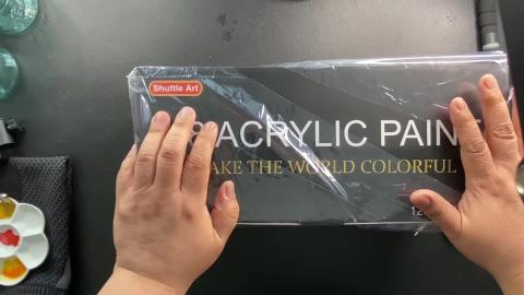 Shuttle Art Acrylic Paint | UnBoxing