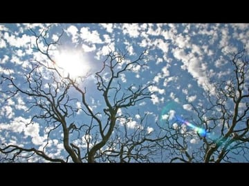 Nature 2