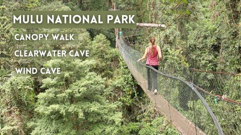 Clearwater Cave, Wind Cave & Canopy Walk | Mulu National ...