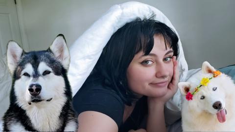 Pretty Girl Hides From Malamute & Husky!