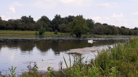 after work nature walk 