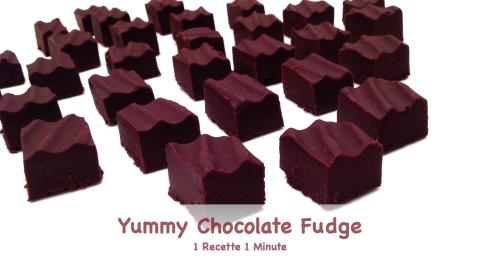 Yummy Chocolat Fudge (shorts)
